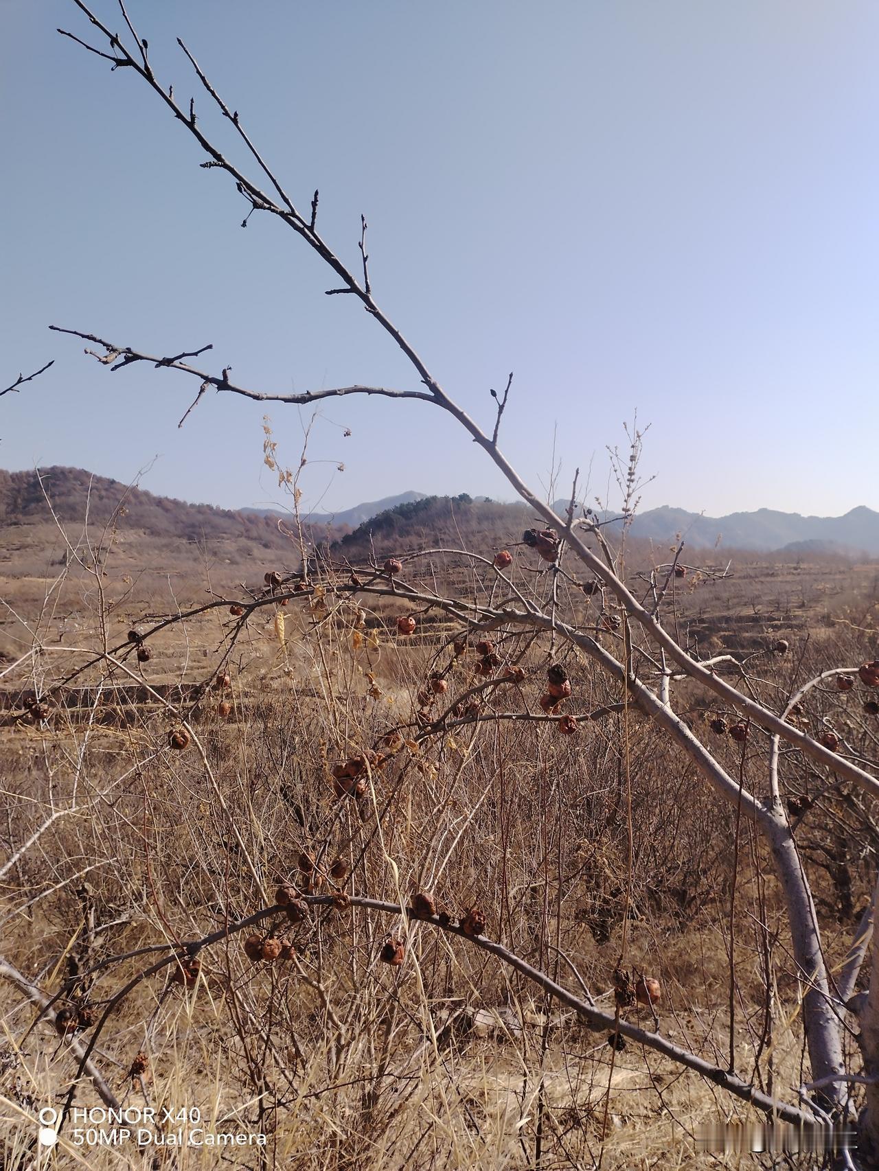 集卡领红包好像不从这个入口发，竟然不成功。每天的打卡写到崩溃。不知道怎么写才对。