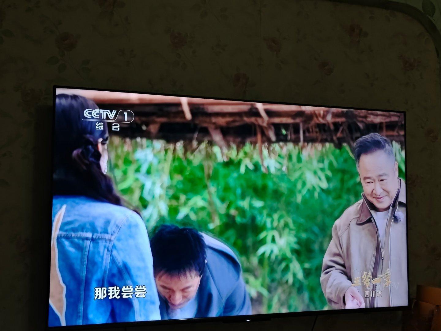 哇哇哇，今年央视好爱来遂宁，神采正飞扬群星演唱会，《山水间的家》，《三餐四季》。