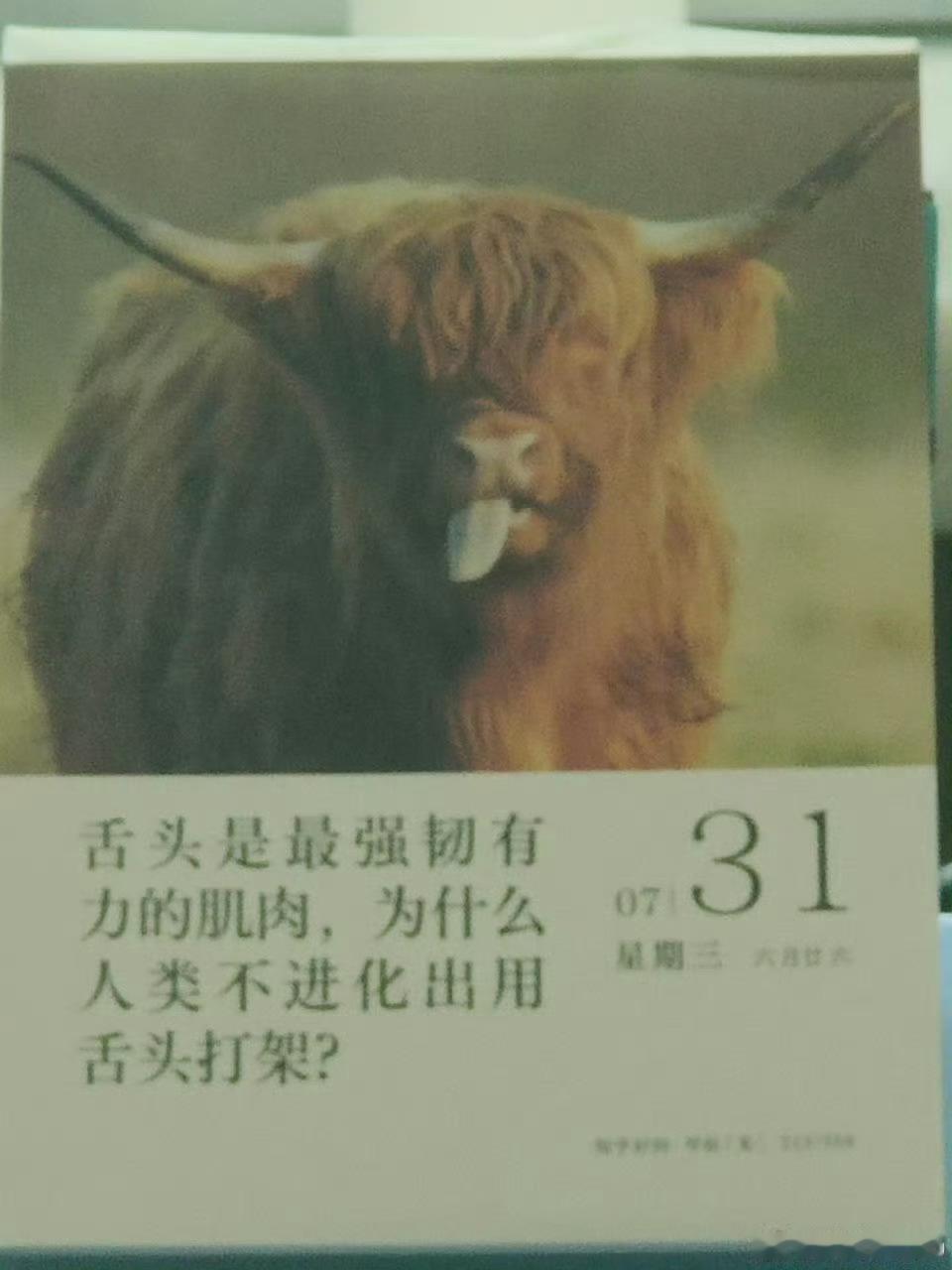 奇怪的知性又增加了一点，现在我想跟某宁打架