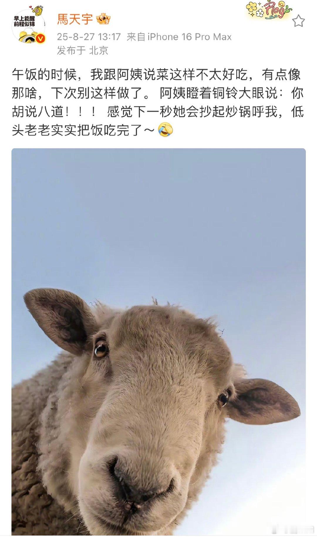 马天宇低头老老实实把饭吃完了传下去马天宇被阿姨训了 马天宇说阿姨做菜别这样，最后