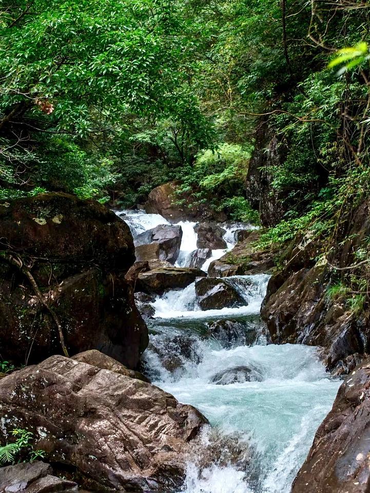 朋友们，今天我要给你们分享一个广州周边玩水的宝藏地——白水寨！在这里，你不仅能感