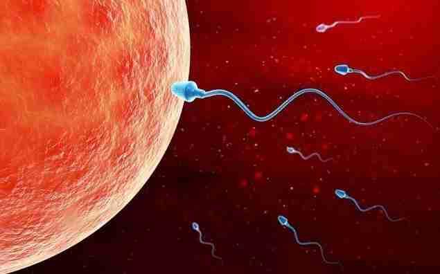 带定位晒今日生活 带定位晒今日生活。今儿这天气，多云，舒适宜人，心情也随之愉悦起