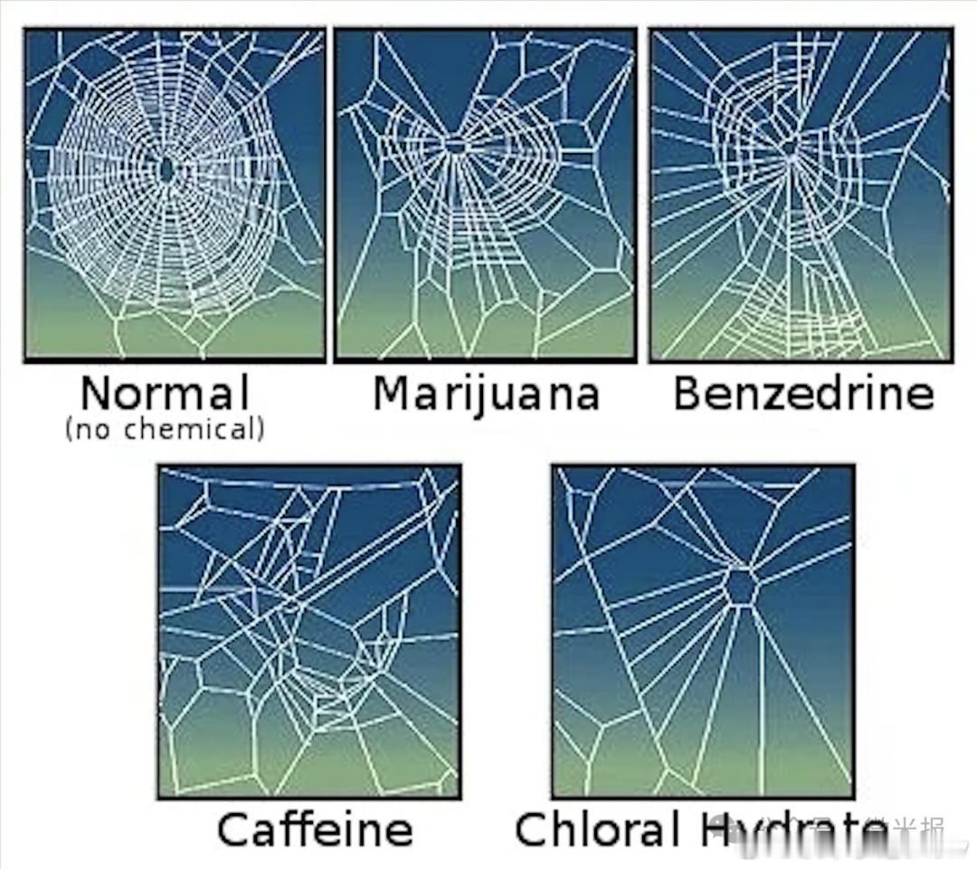 马督工为什么发疯了一样黑咖啡因？咖啡因毒品化、毒品咖啡因化~关于咖啡因，最有名的