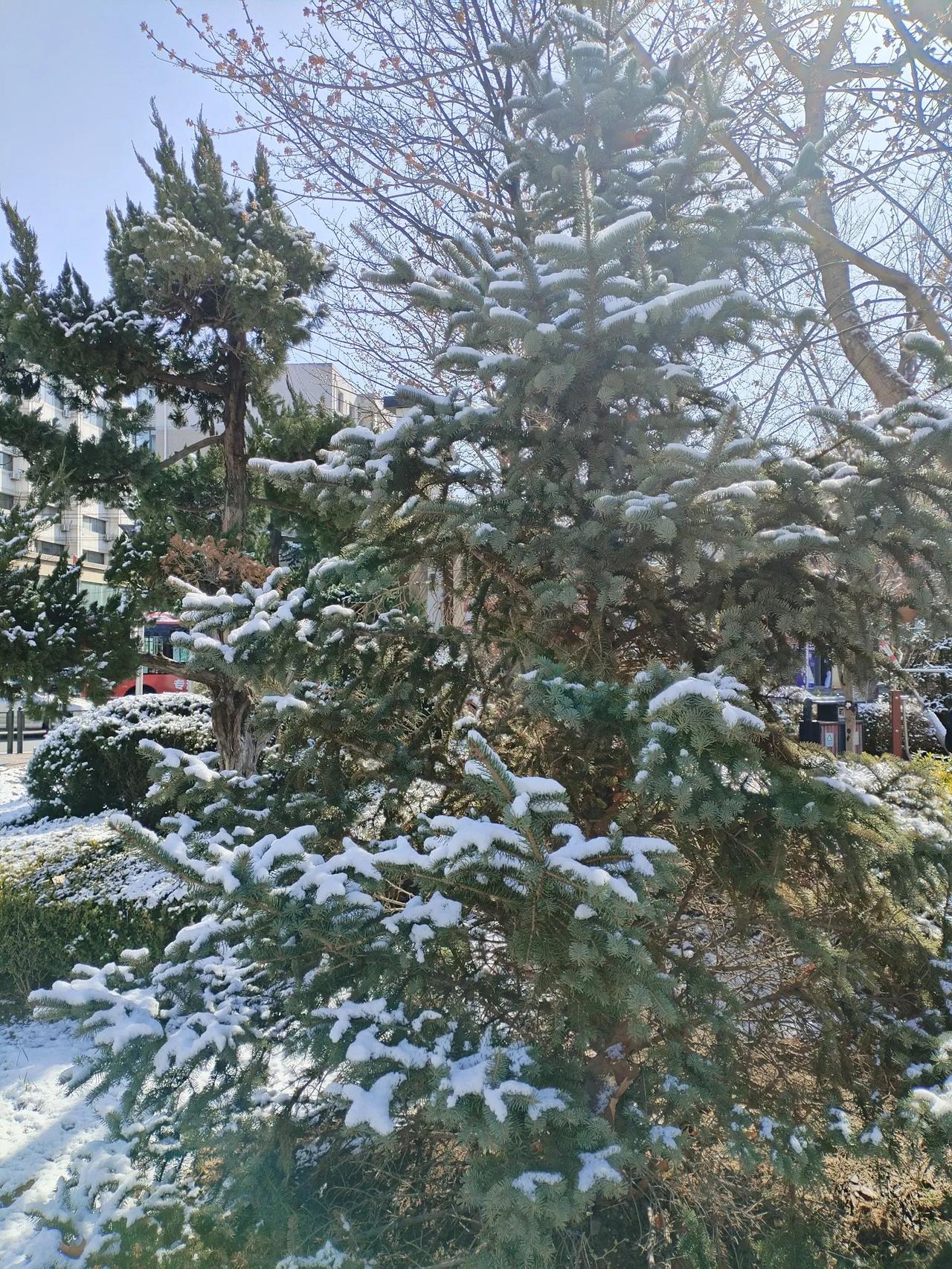 你能对出“日月星辰添画卷”的下联吗风花雪月醉诗篇。