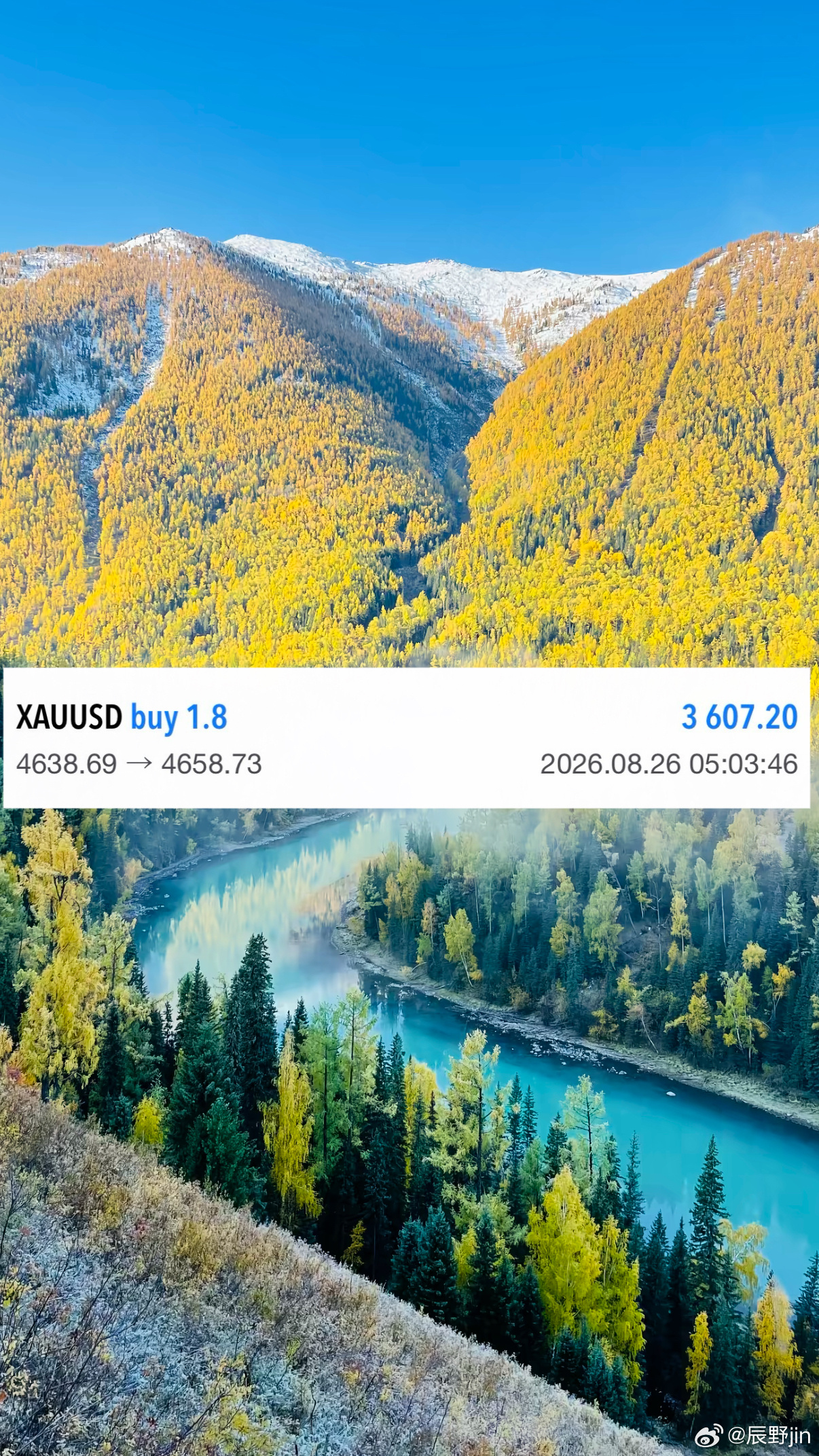 黄金[超话] 刘先生日内翻仓第一弹多单布局19典！3607u！洛带！！！不用你看