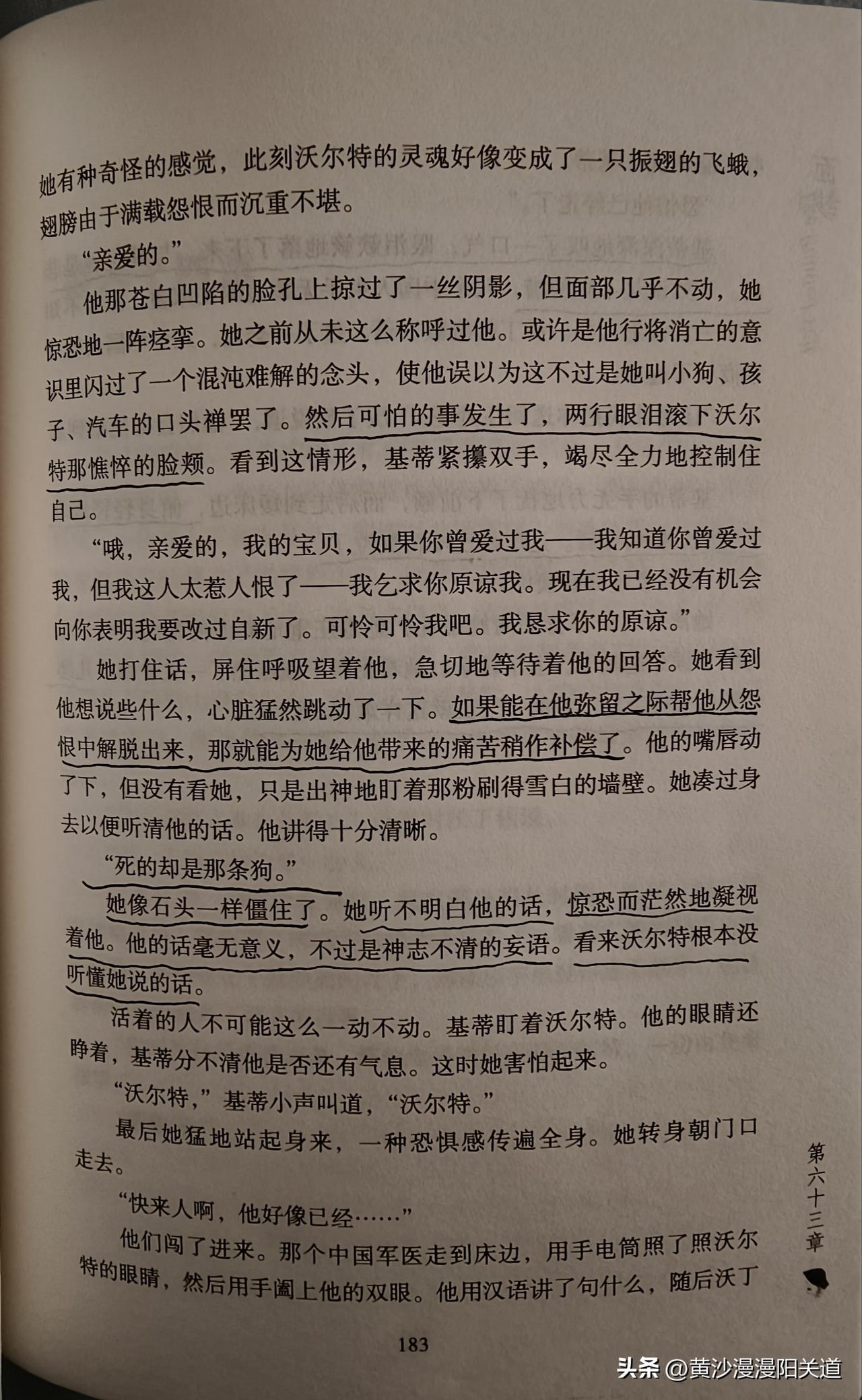 《面纱》之终篇
心怀报复的沃尔特，将基蒂带往那随时可能染上疫病的疫区。抵达梅谭府