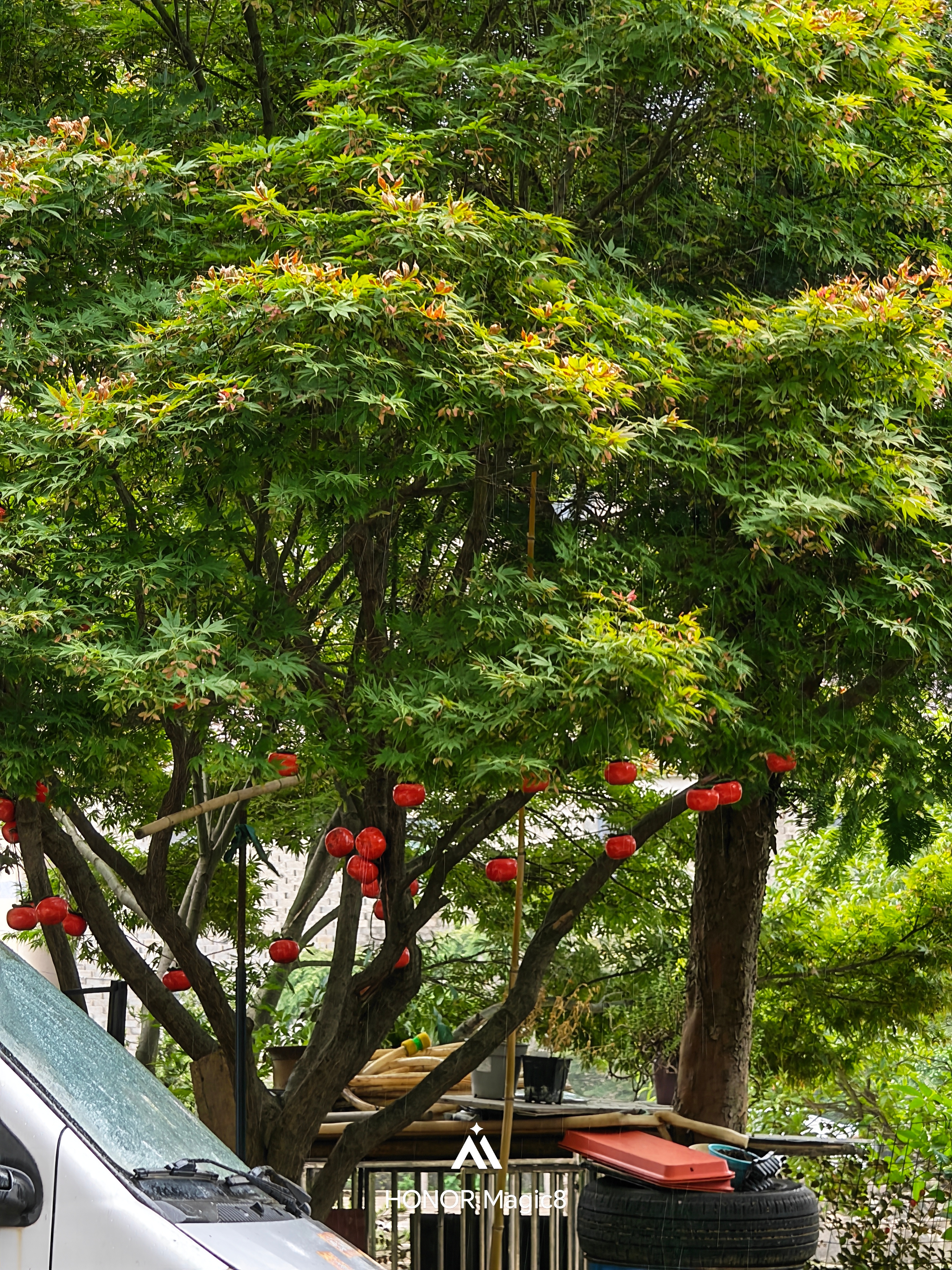 这一两天折腾死我了阳台收拾，屋顶收拾，花草搬家，有点干不动了这个点已经感觉到7级