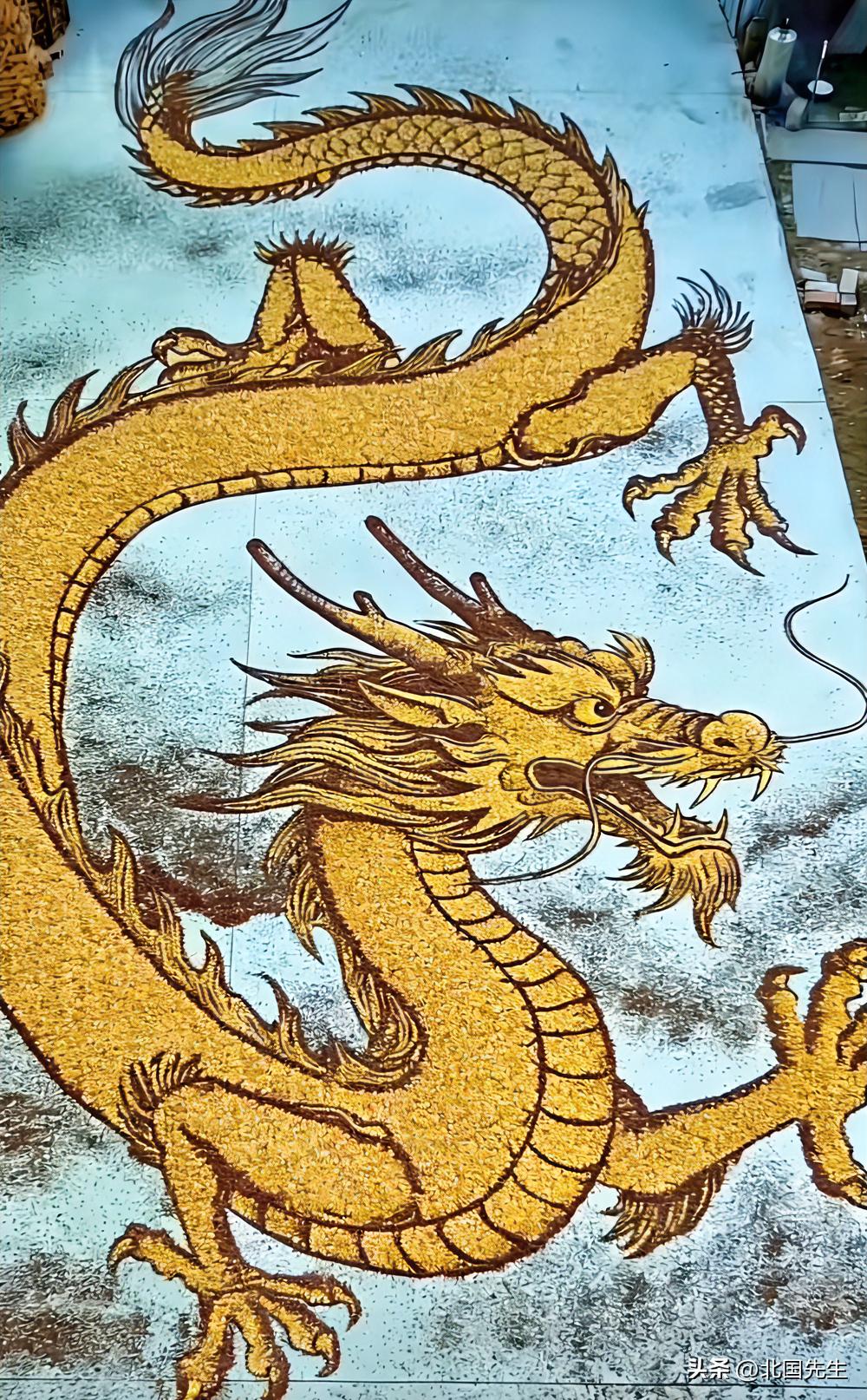 二月二，龙抬头，还可以这样表达。

用玉米粒（或粮食颗粒）在地面摆出的巨型龙形作