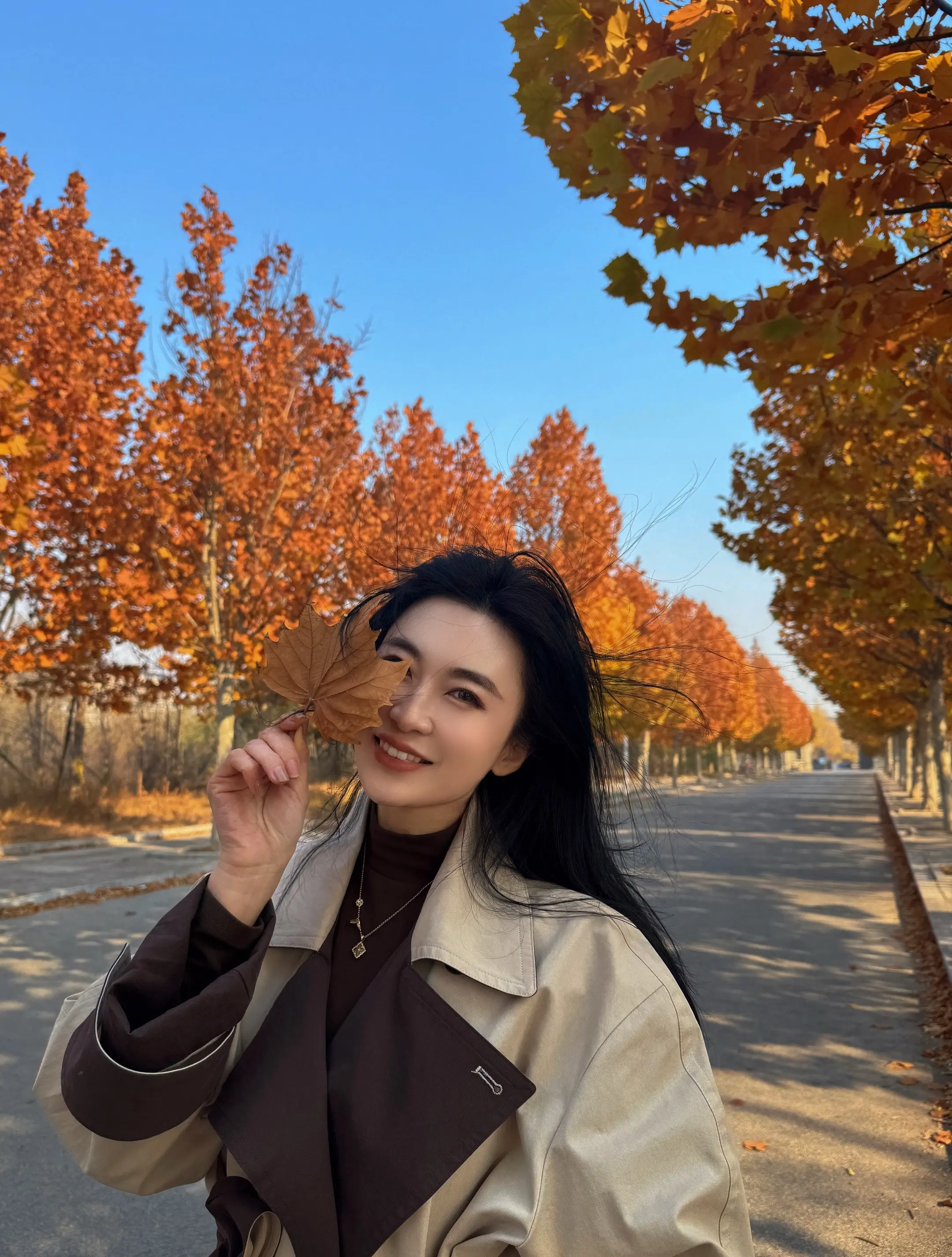 匆匆抬眸 已至晚秋🍁