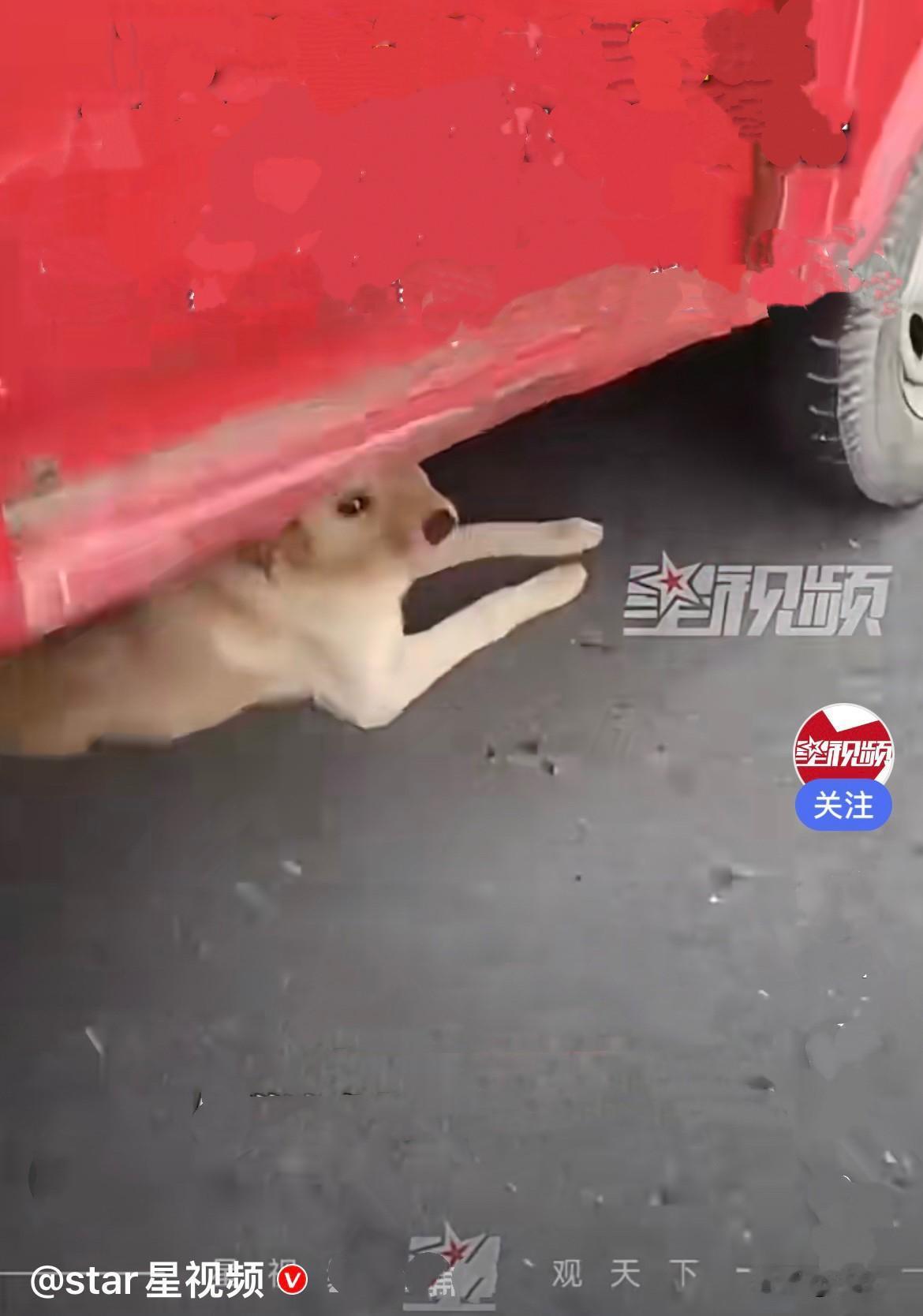 近日，江苏泰州一位收废品的师傅，上门收了一户人家的旧三轮车，这辆三轮车放在家里闲