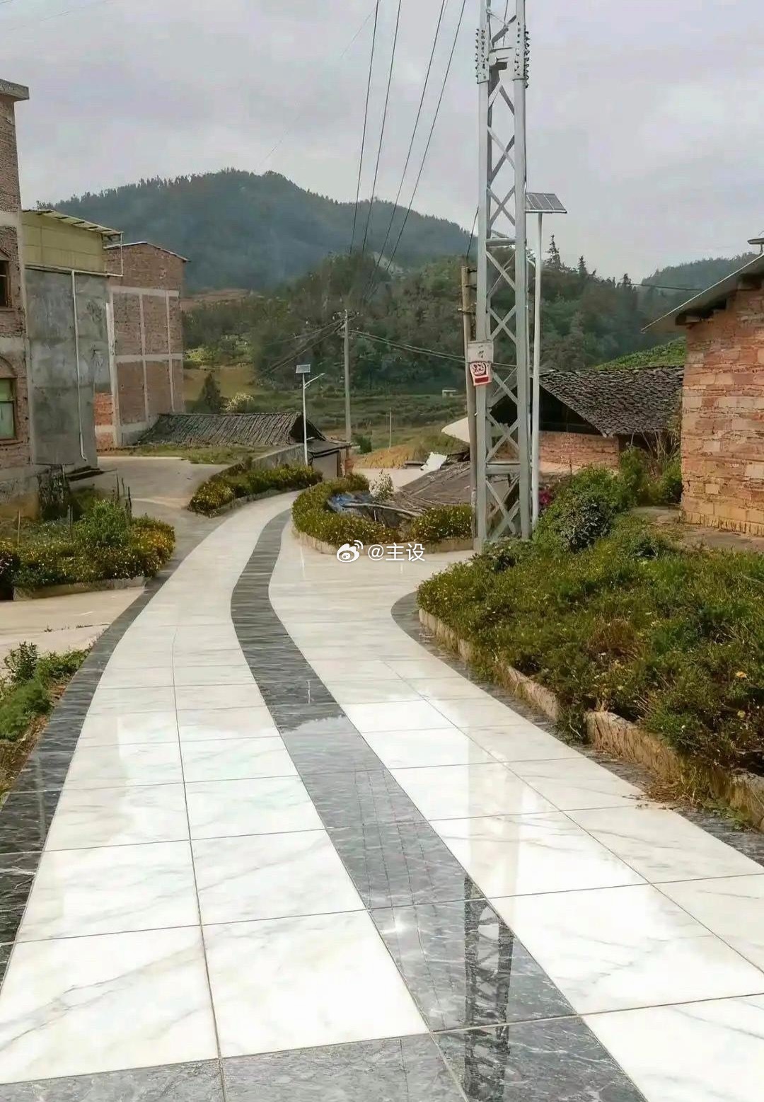 这就是我竞选村长的底气 