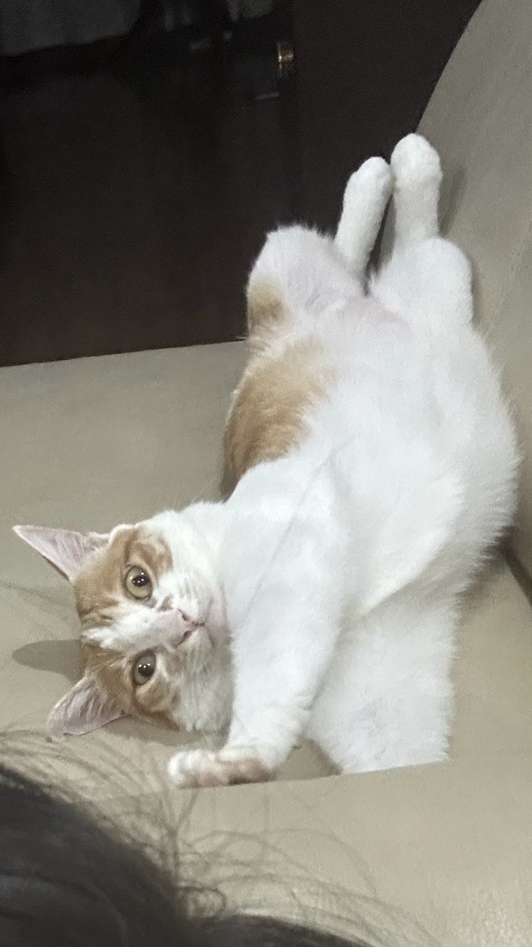 偷看我手机被发现了 孩子尴尬 ​​​