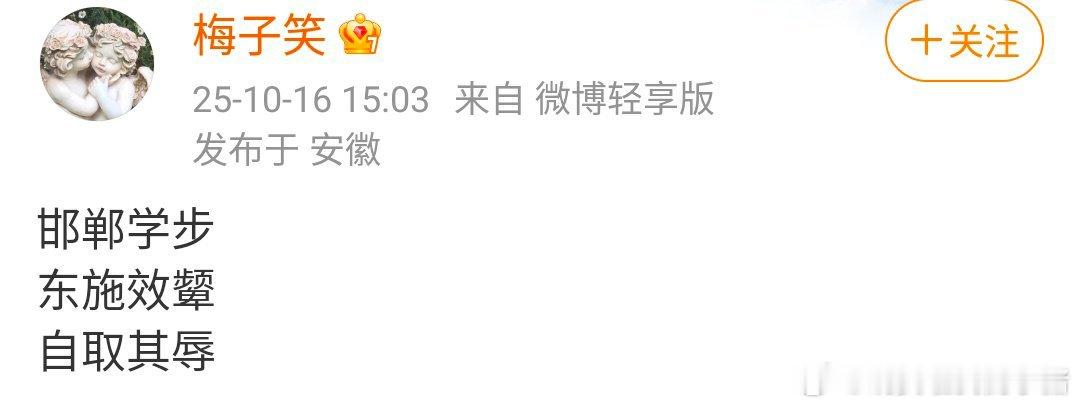 汪海林好友梅子笑这说的是谁？邯郸学步，东施效颦，自取其辱🤔 ​​​