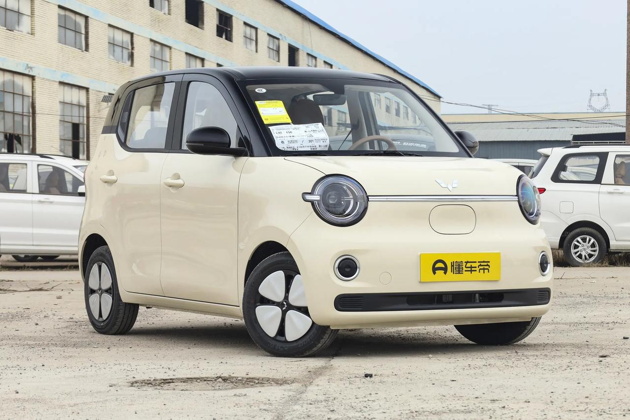 在纯电微型小车中，五菱宏光MINIEV抢占了先机，取得了很好的销量成绩，而随着长