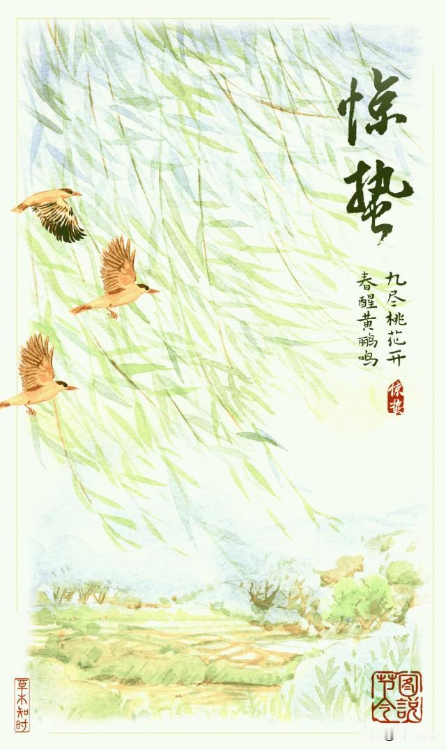 今日惊蛰 
春雷响，万物长
最美仲春从此始