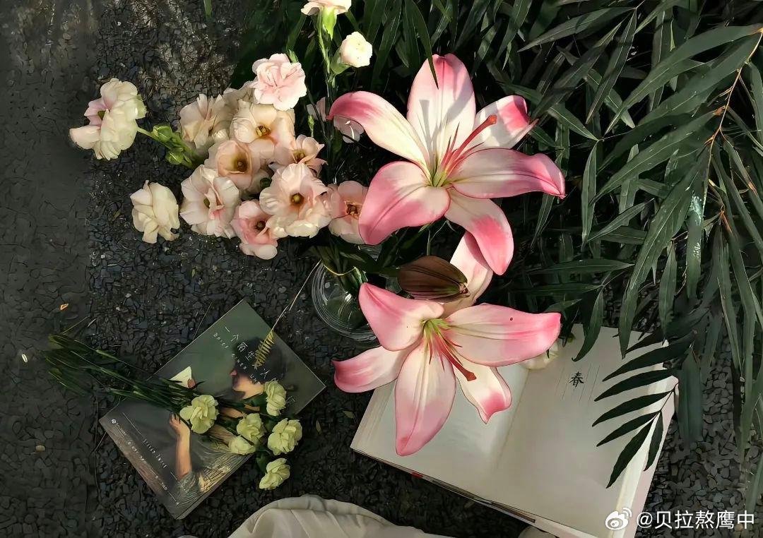 阳光信用 生活原本就沉闷，但跑起来就有风，还有一路的彩虹。把快乐放进口袋里，阴天