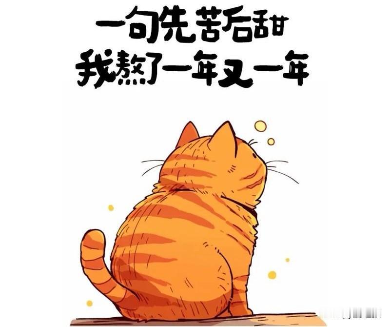 小轩品茶：6000万美刀拿下转播权，难言全胜
 
5月15日，央视正式官宣与国际