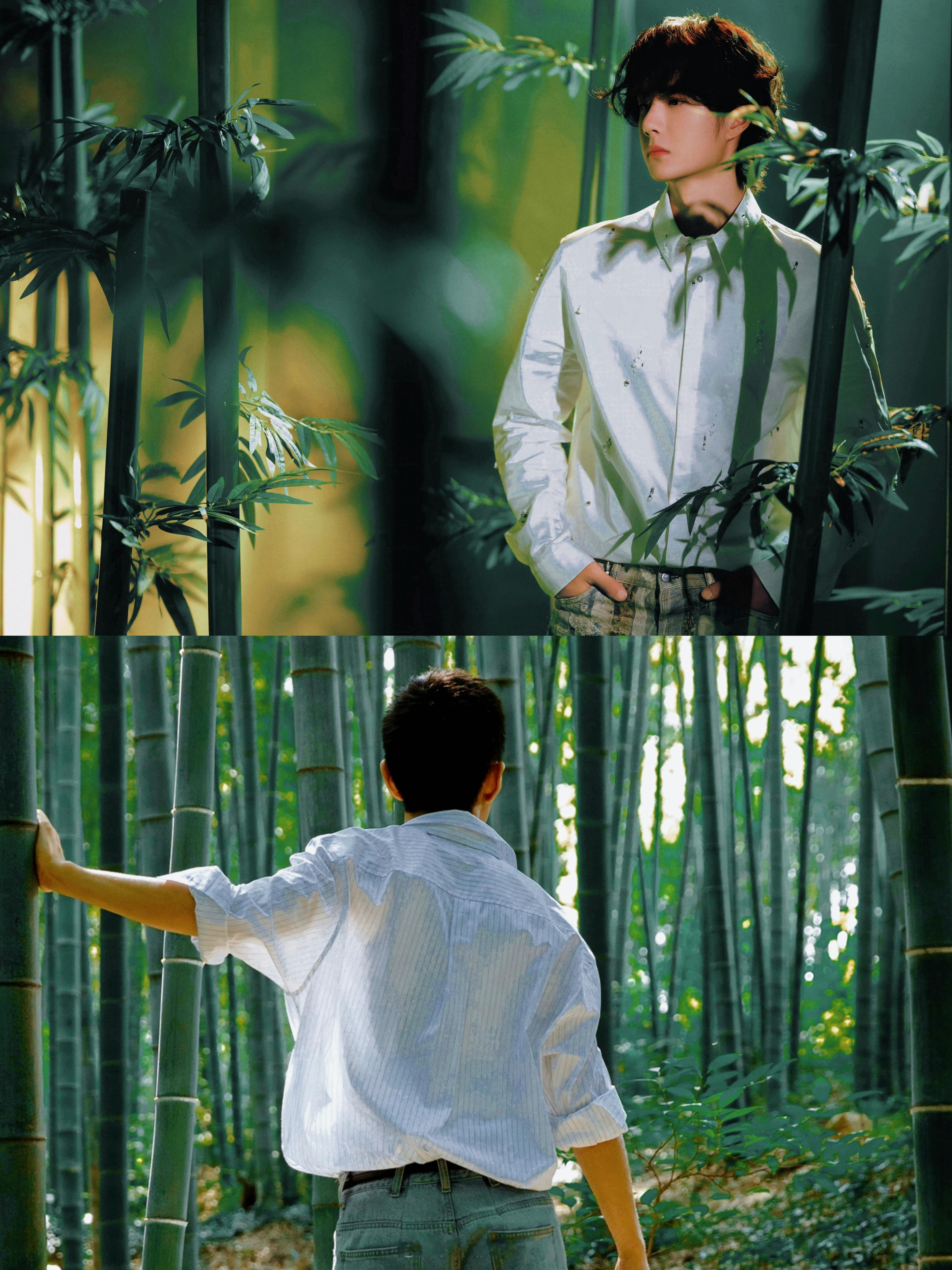 君子当如竹🎍🎍🎍 博君一肖 其实最感动的是第一张，衬衫牛仔裤竹林，呼应20
