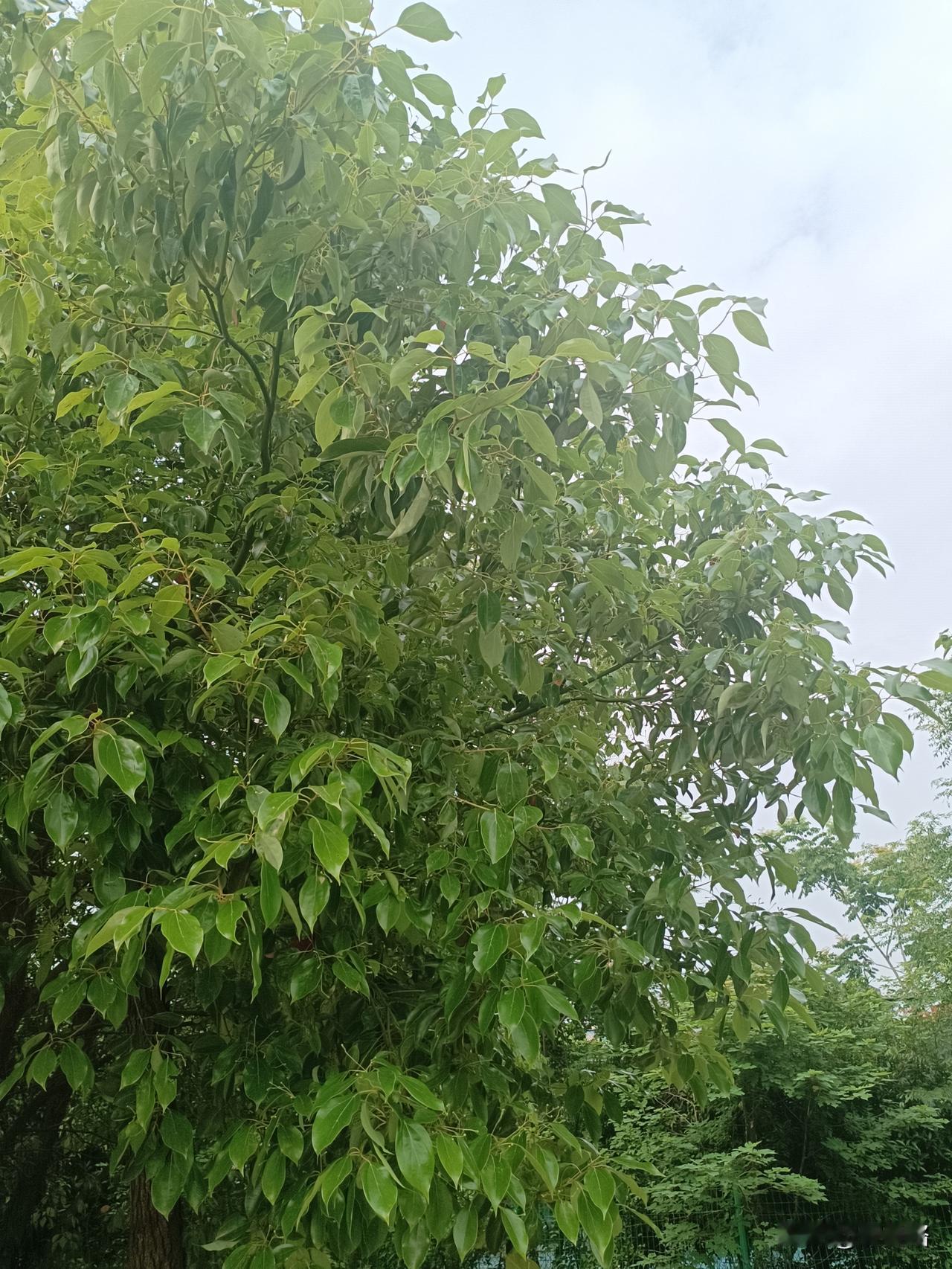 再有人说跑外卖什么的，
随便跑跑就能月入过万，
我一定要问问，
是在哪里。
老哥