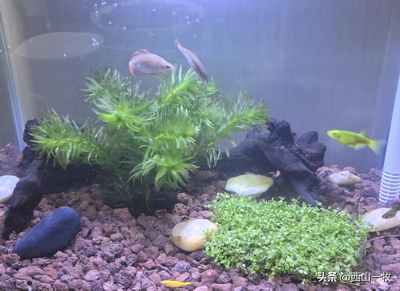 你有到机关单位借厕所被拒的经历吗？周末去山里玩，在一个叫涞X水村的村委会，附近没