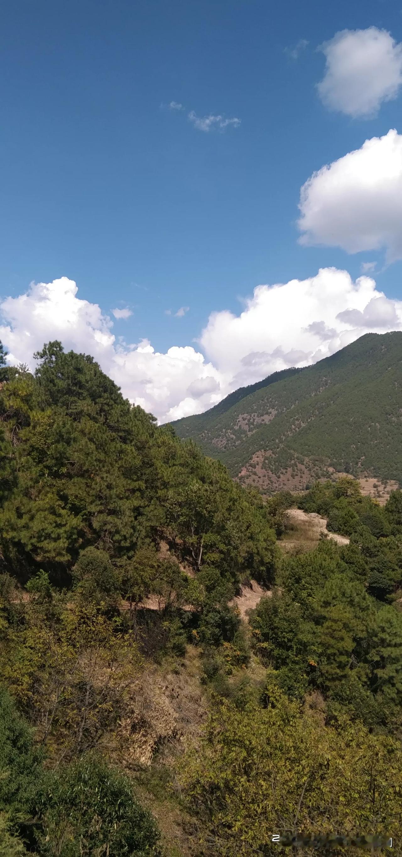 中午十二点半，向往大山上的山地里，一路走，一路拍天空中的云朵，变化好大的，云南晴
