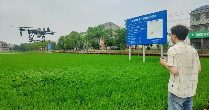 资阳区：科技赋能早稻病虫害防治 力保夏粮丰产丰收
