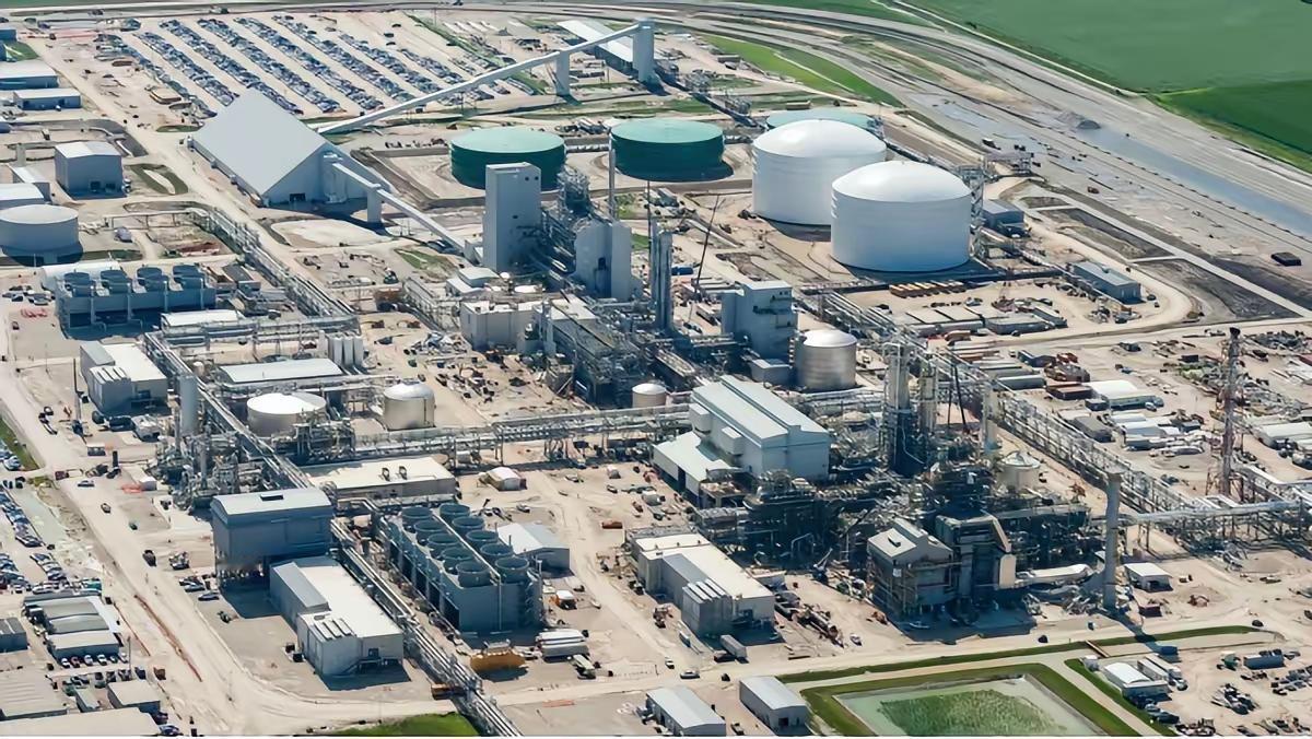 好离谱，印度尿素招标抢着送？

今天看到一篇文章，说印度这次250万吨尿素招标后