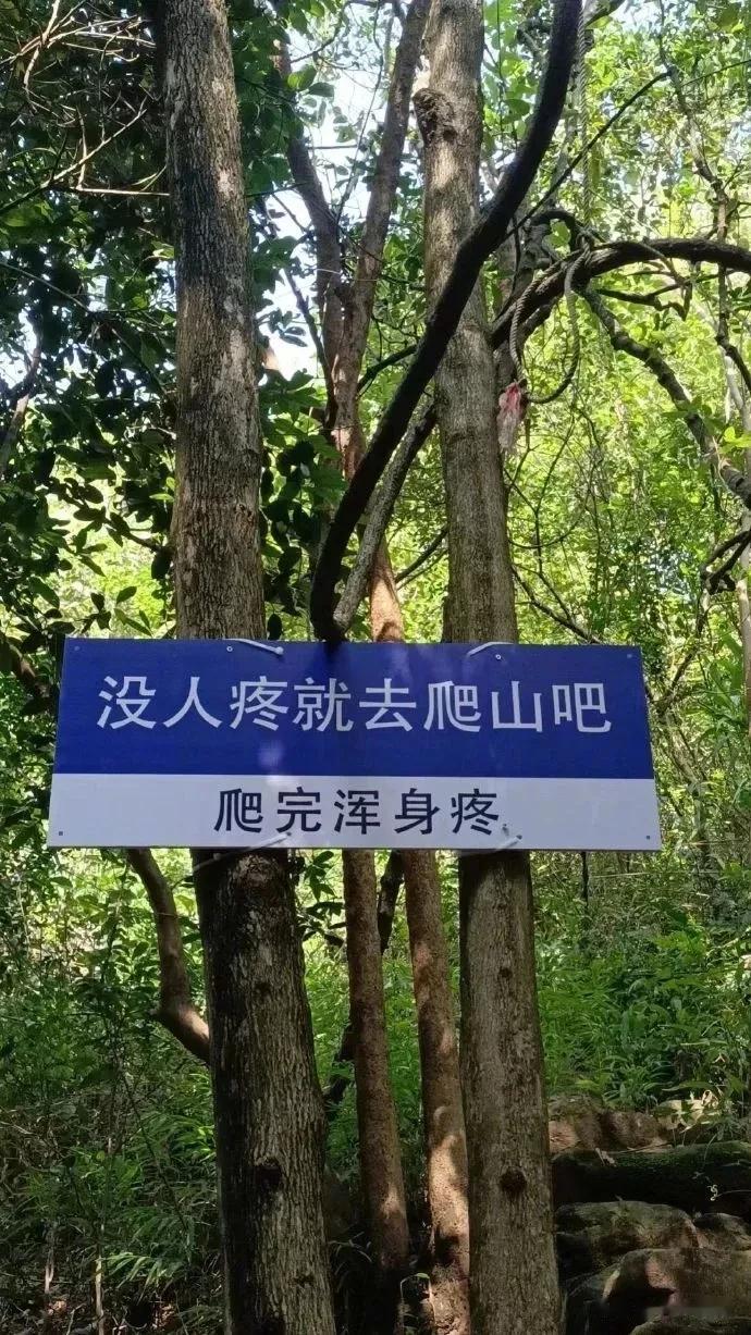某产妇，坚决要求剖宫产。

告知，你有很好的顺产条件，为啥要剖？

答，我想保留