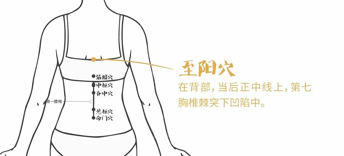 至阳穴生“背阳”人的背部阳气不足时，常有背部凉风感，肌肉僵硬等症状。刺激至阳穴可