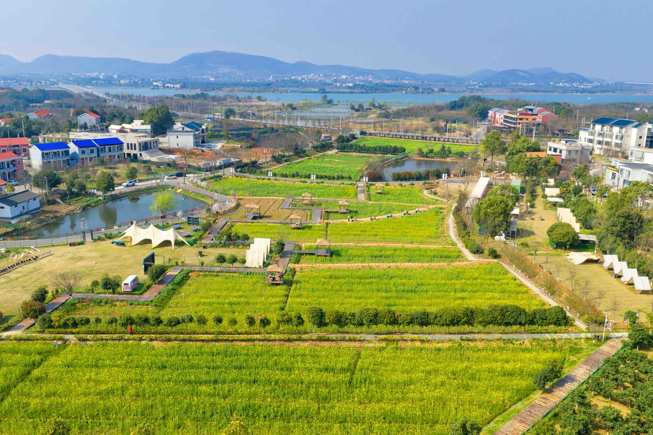 武汉自驾出城1小时，这个地方美爆啦！不要门票，免费打卡，还有美食、民宿和村咖，来
