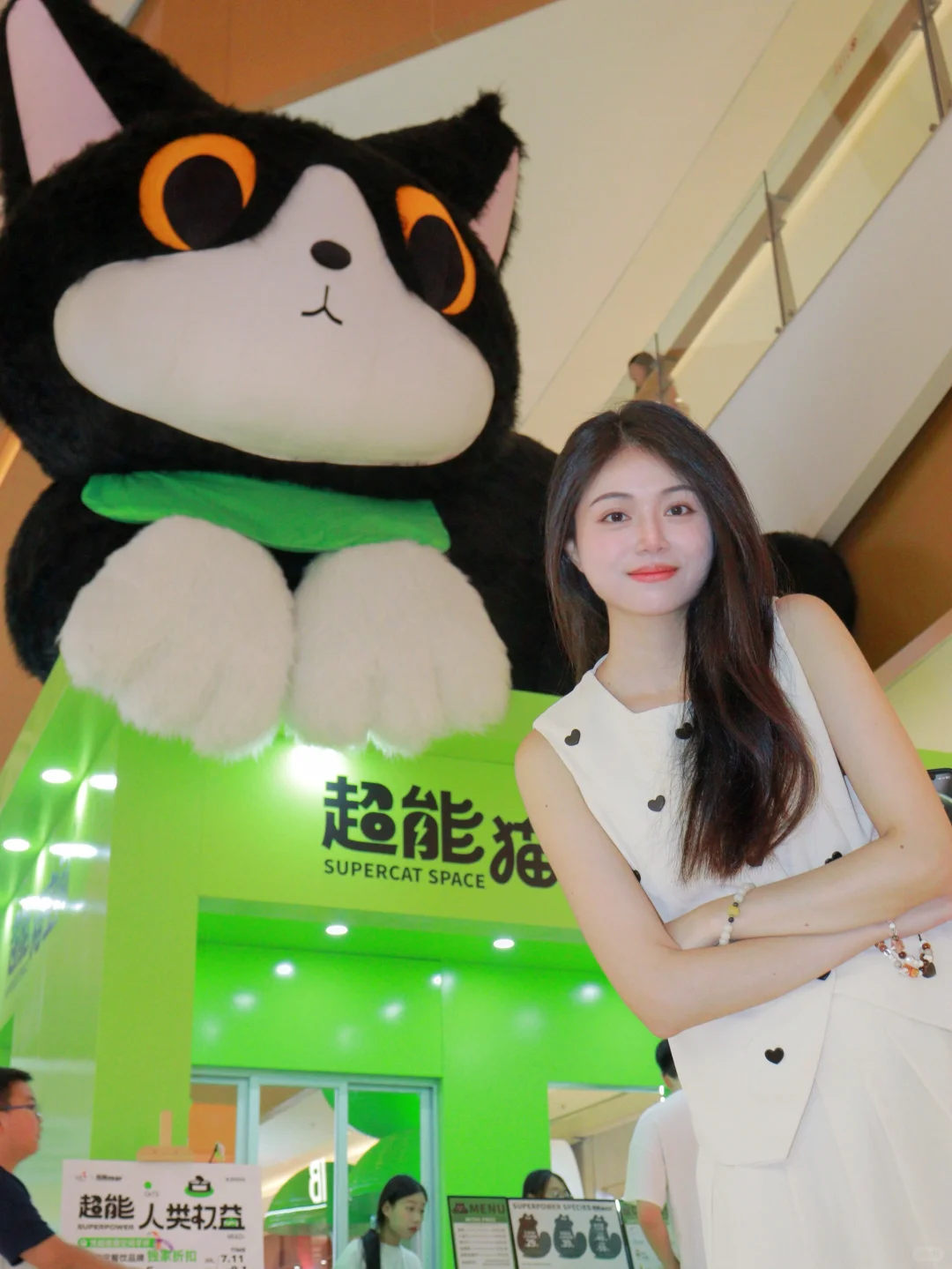 🐈 小猫拯救世界 ୨୧•͈ᴗ•͈& 撸猫啦