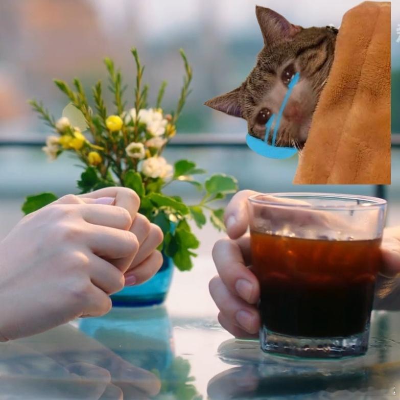 暮暮朝朝明明差一点就可以幸福了 暮暮朝朝的幸福近在咫尺！靳朝车被动手脚坠崖，姜暮