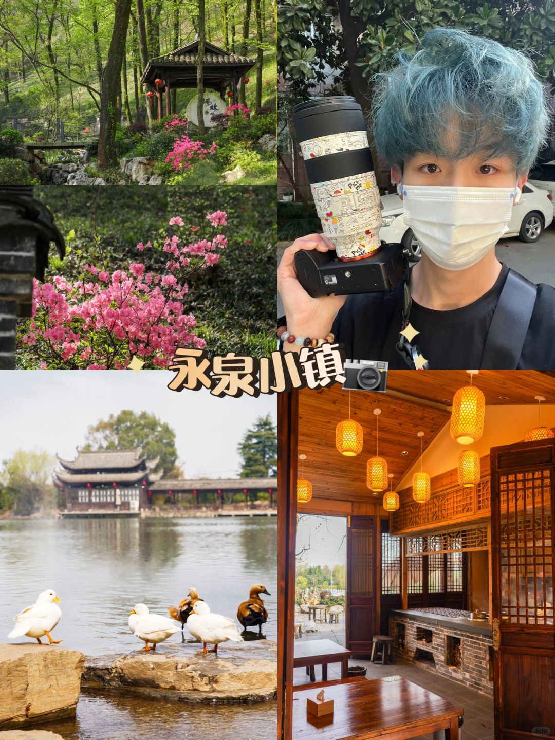 南京周边直达1h，现实版爱丽丝梦游仙境🌸