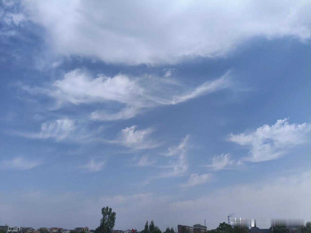 分享一张你最近随拍的照片