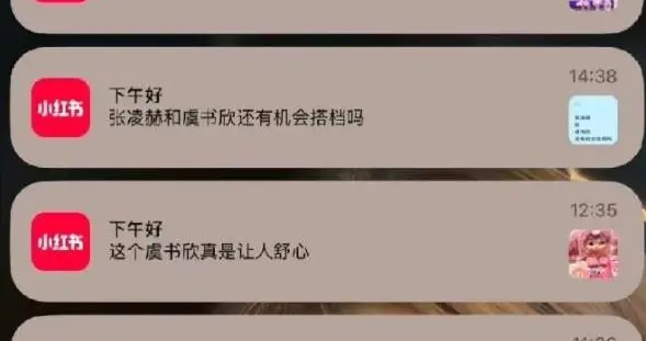 从小红书被严惩，看社媒绝不应沦为明星生活琐事“秀场”的必要性