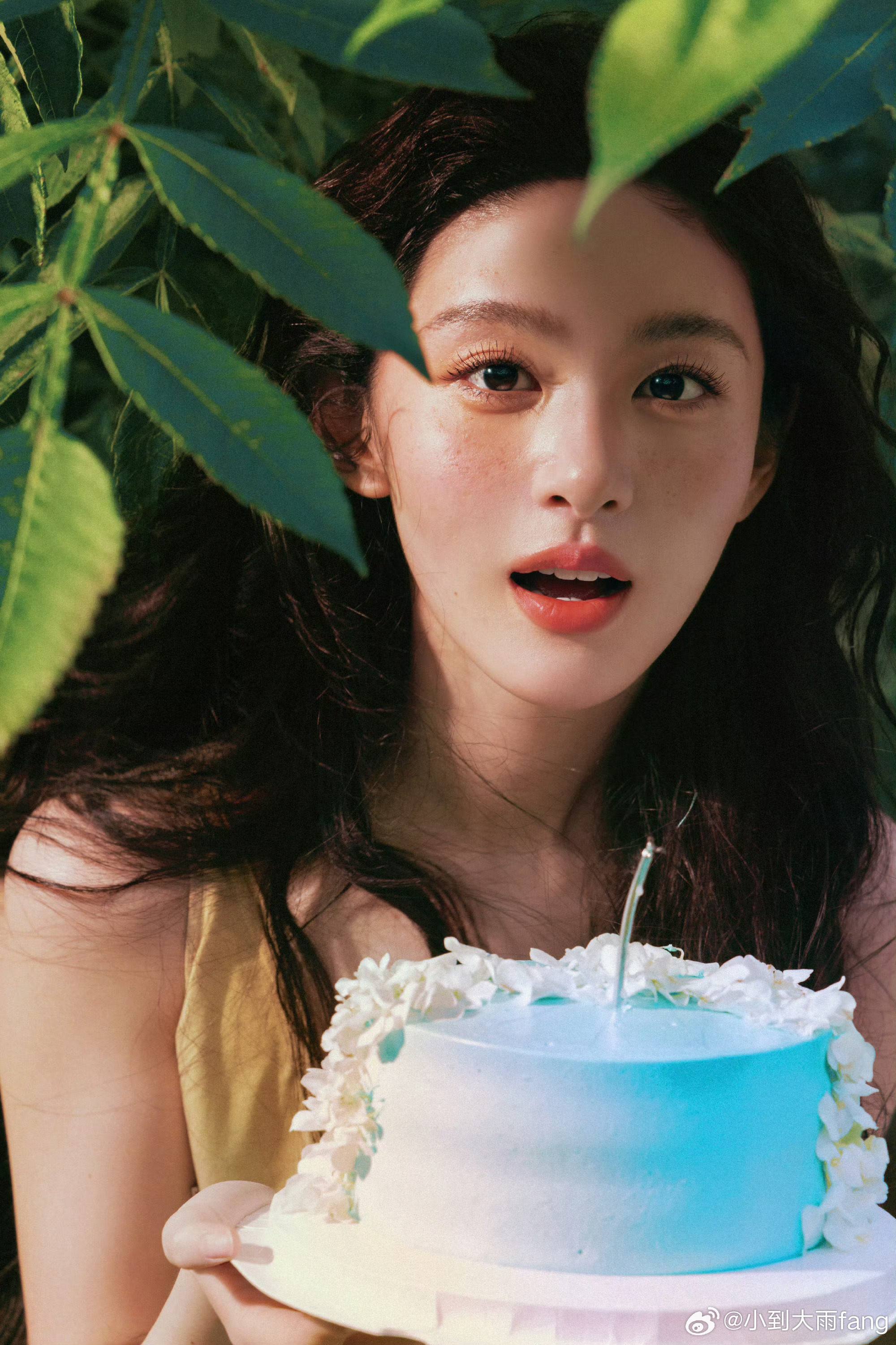 赵晴生日直播哭了于正的卡点祝福从不缺席赵晴的生日，赵晴直播落泪，这份长久惦记真的