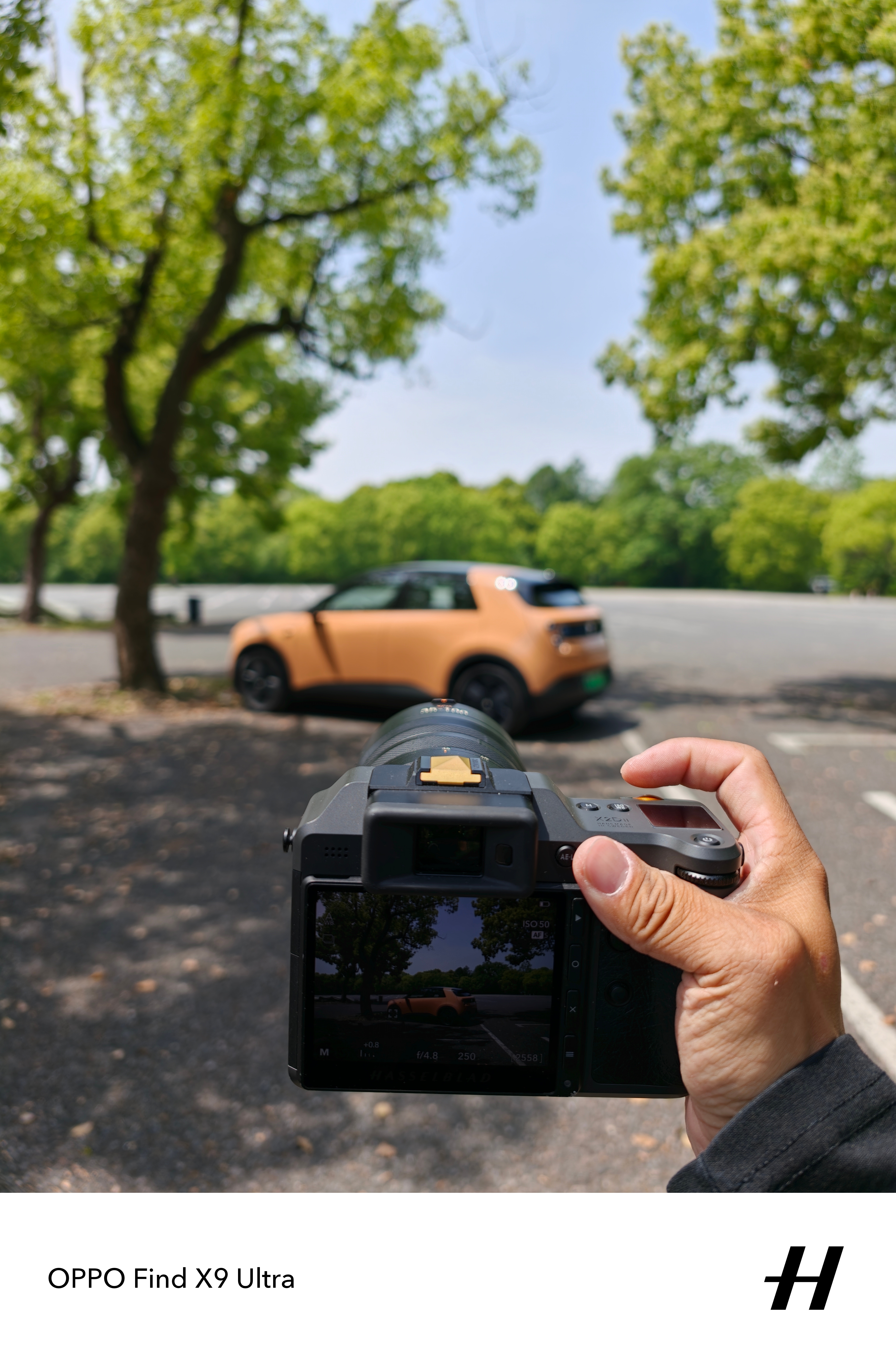 今天拍美拉德firefly萤火虫 上海