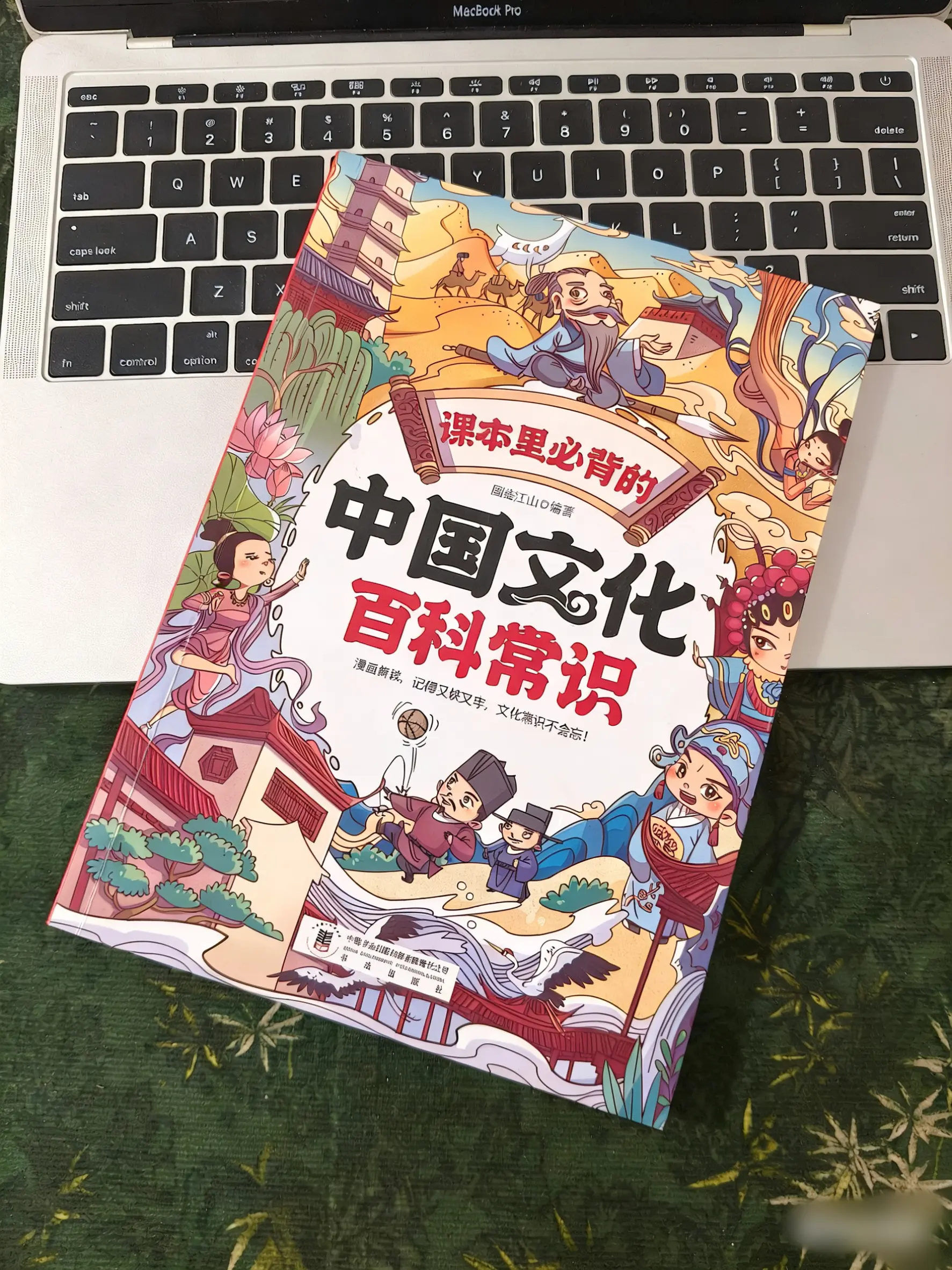探索中华文化的博大精深，从历史故事到传统习俗，这本书带你领略不一样的风...