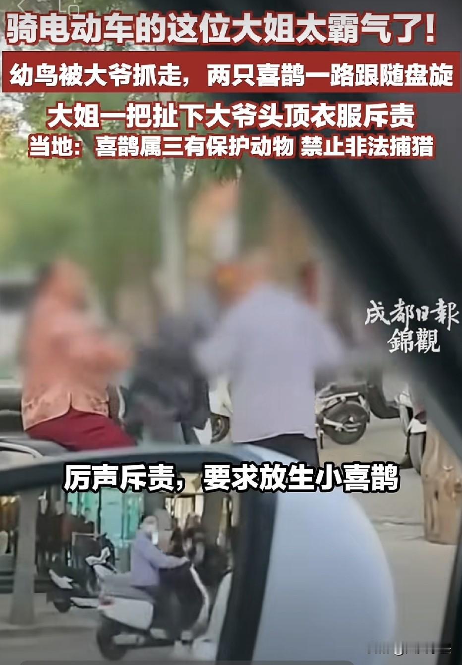 宁夏吴中，一位大爷闲来无事，抓了一只喜鹊幼鸟，结果被喜鹊父母盯上了，它们低空盘旋