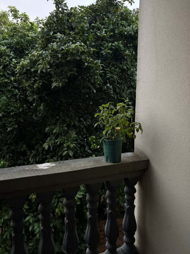 傍晚下起了暴雨 