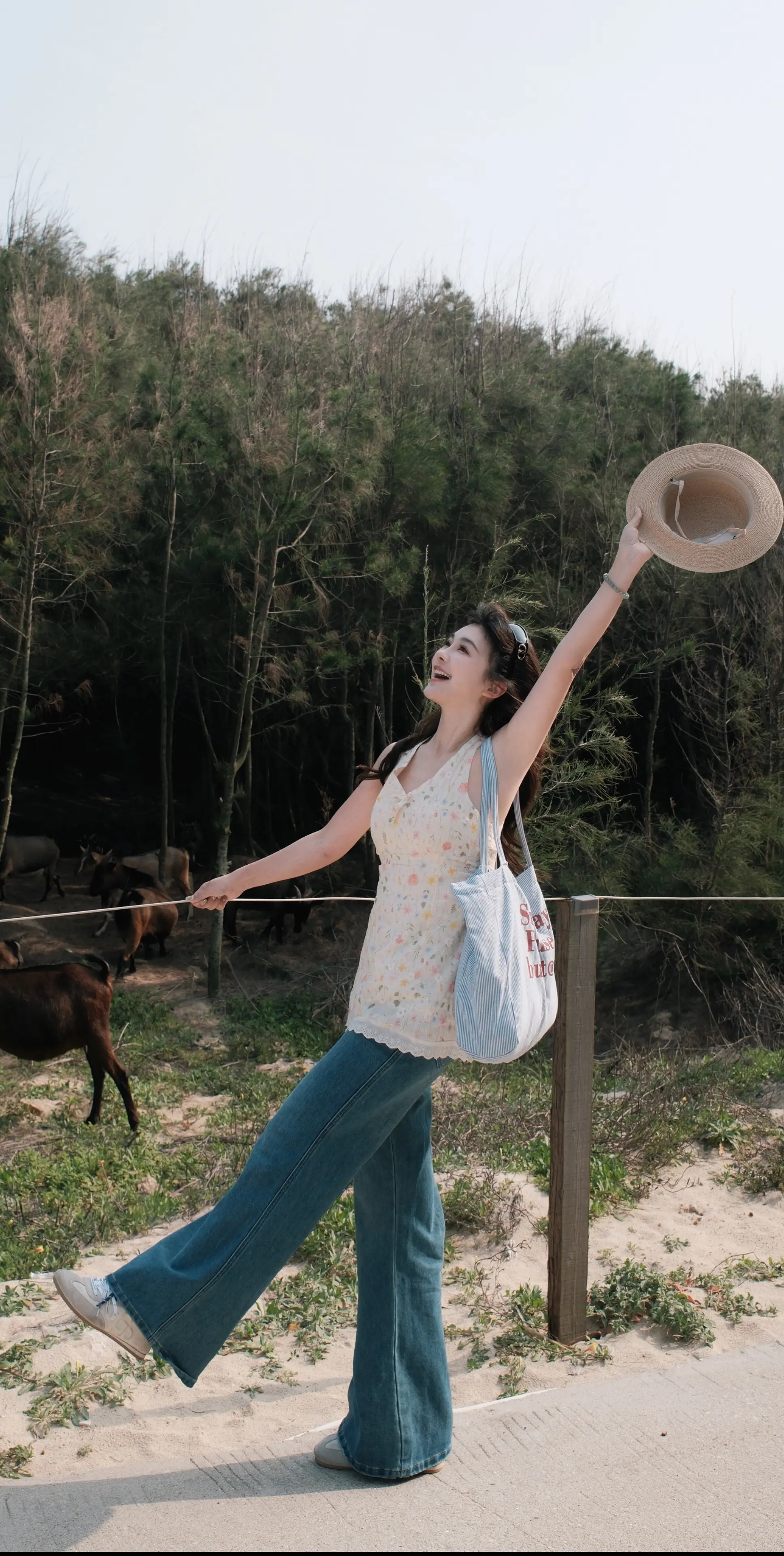 我学着不去担心的太远 不计划太多反而能勇敢冒险