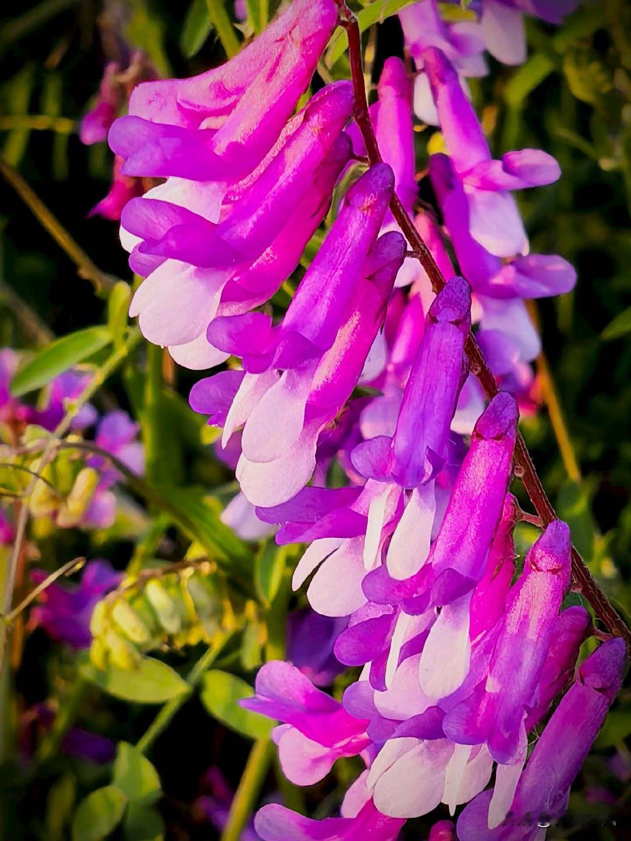 如何才能高效地准备公考? 
【小对联】
上：妙算；
下：……？