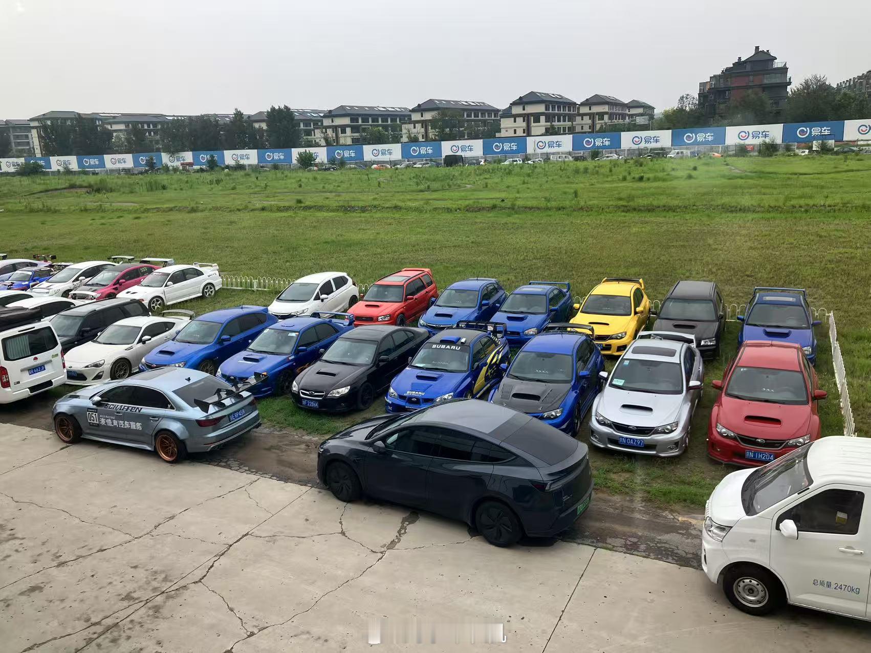 原来金港赛车场有个豹子窝[馋嘴][馋嘴][馋嘴] ​​​