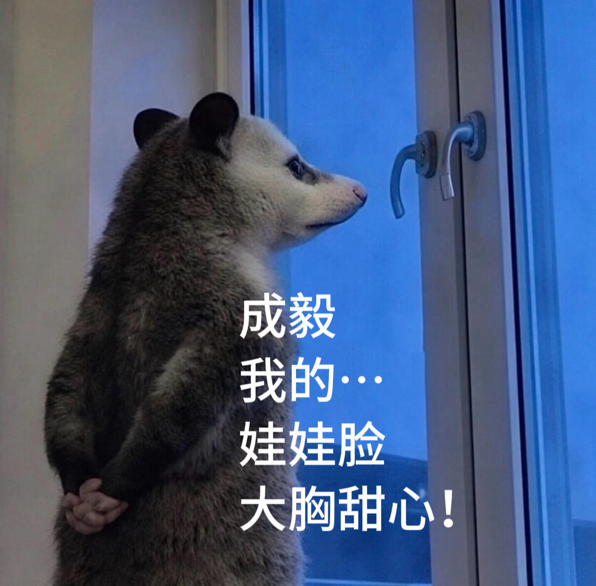 好想成毅狩谎何时开机啊 