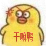 蛙子最爱汽车