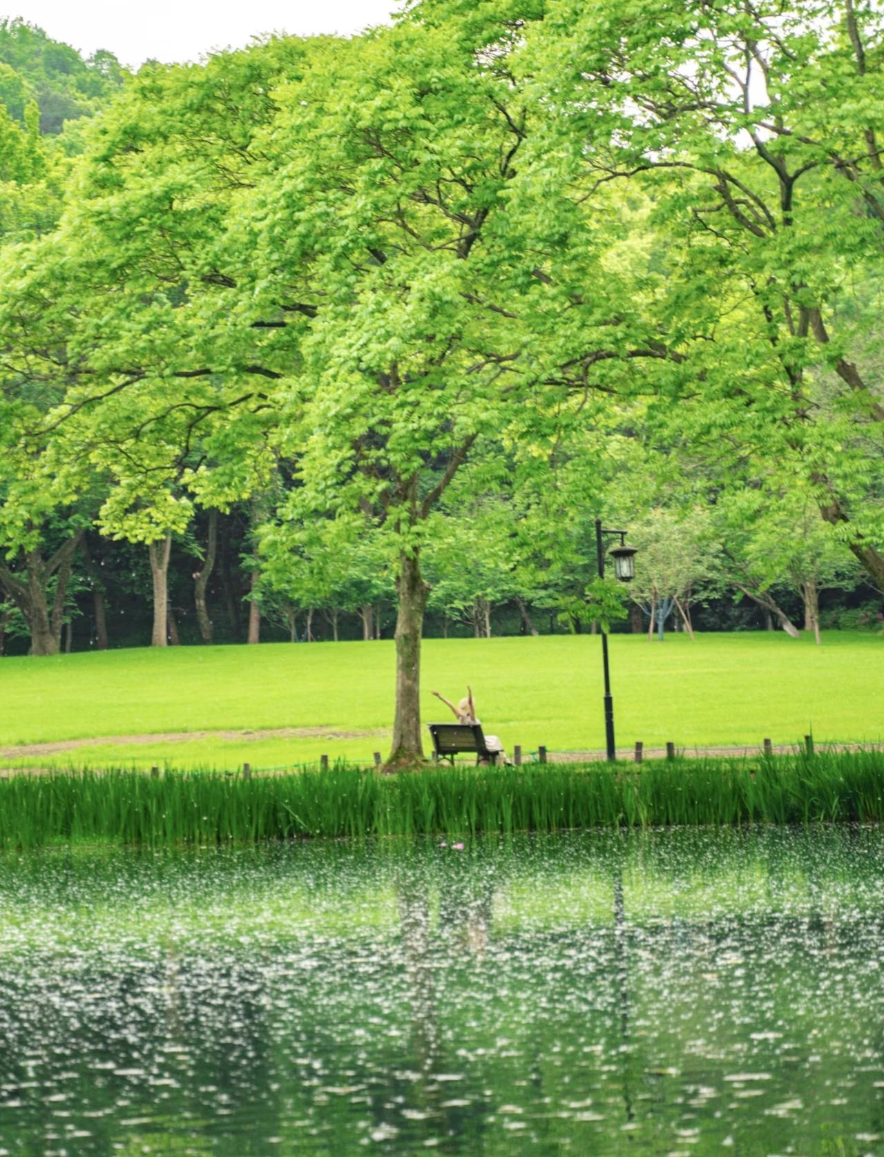 今年春天最想实现的心愿去海南旅游，看看海南的风光