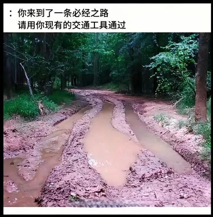 你怎么过？？？