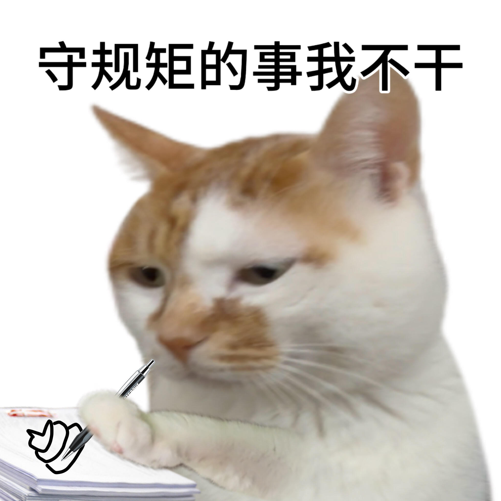 这个速度谁看了不说一句是不是疯了 ​​​