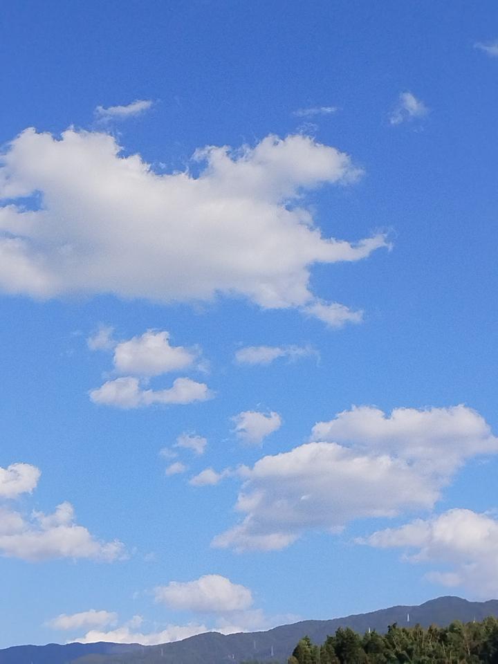 刚跨年就迎来诸多好消息。国家对退伍军人的优扶政策越来越透明细化了这一举措让退伍军