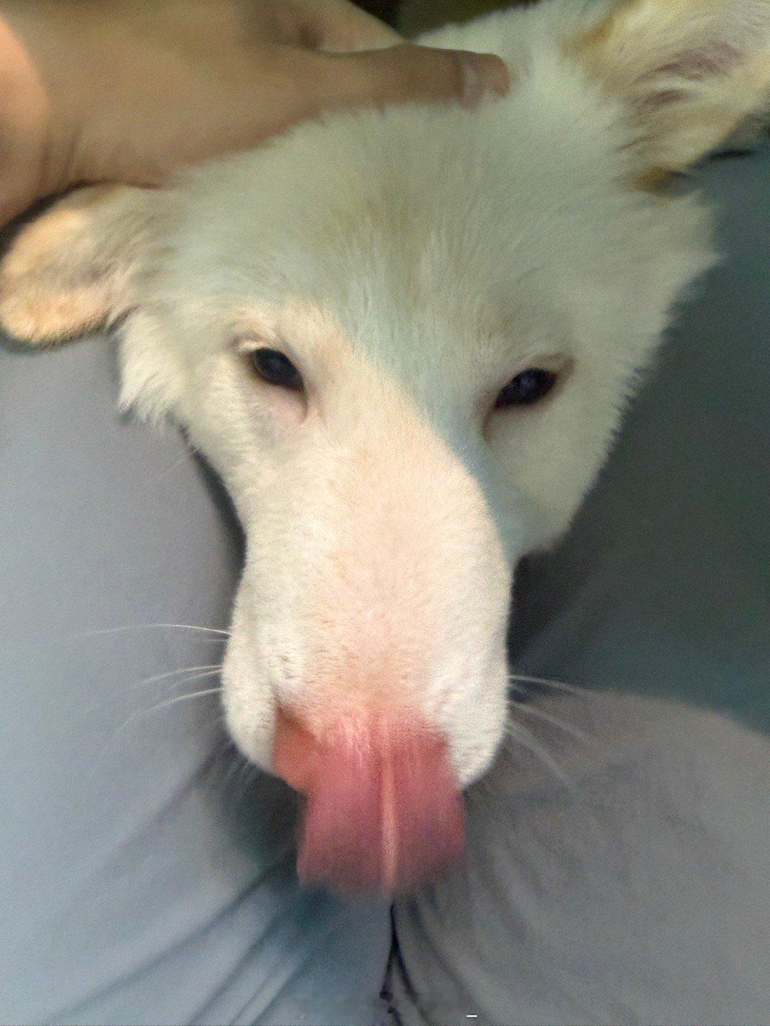 分享图片 ​​​